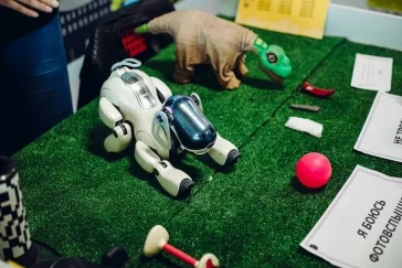 Фото: Как попасть в виртуальную реальность: выставка роботов в Новокузнецке 2