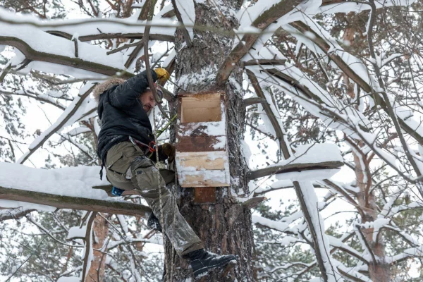 В кемеровском Рудничном бору установили три совятника