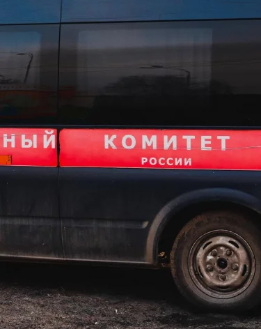 Бастрыкин потребовал доклад по делу о гибели двух мальчиков на пожаре в Кузбассе