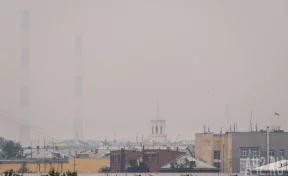 Мэр Кемерова предложил создать портал с данными о загрязнении воздуха от предприятий