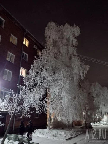 Фото: «Чемпионат по кружеву»: кемеровчане делятся сказочными фото инея, накрывшего город 1