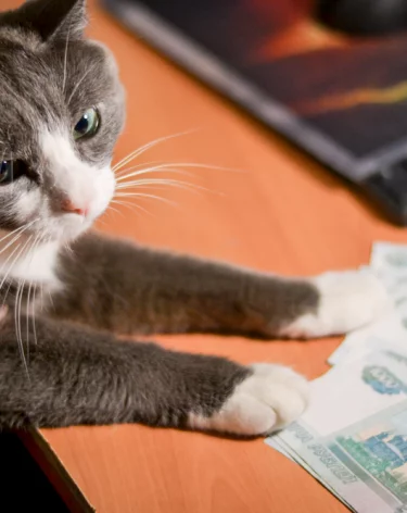 Кузбасс занял 32 место в рейтинге регионов России по уровню зарплат