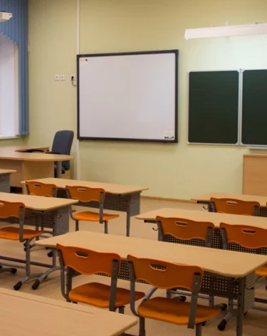 В Челябинской области школу перевели на дистант из-за вспышки кишечной инфекции