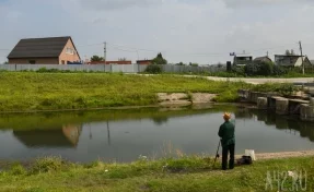 В водохранилище Кузбасса выпустили 7 тонн белого амура и белого толстолобика