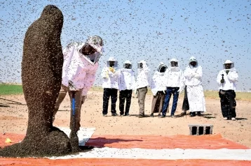 Фото: Номер не удался: пчела сорвала мировой рекорд в Саудовской Аравии 1