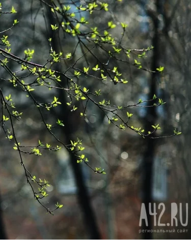 Фото: A42.RU