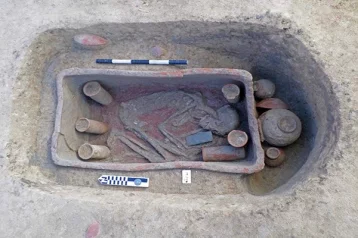 Фото: В Египте археологи раскопали более 80 древних гробниц 1