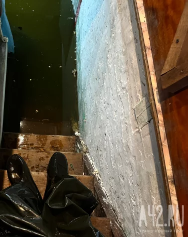 В Белове карпов из затопленного подвала выпустили на свободу