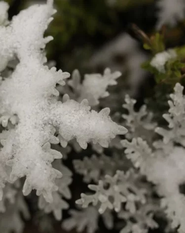 Выше нормы: Вильфанд пообещал сибирякам тёплый ноябрь