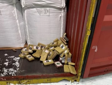 Фото: В порту Санкт-Петербурга задержали крупную партию кокаина на 13 миллиардов рублей   1