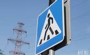 В Ростовской области в лесу на 1 километре дороги сделали 20 пешеходных переходов