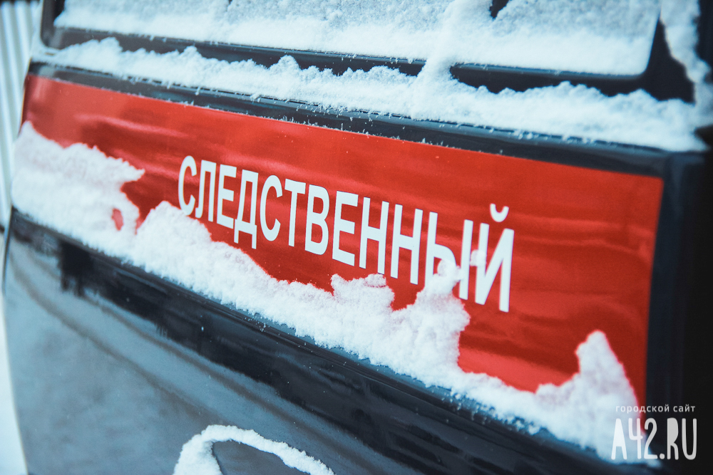 Полуторагодовалый ребёнок насмерть замёрз в деревне в Свердловской области