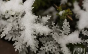 Выше нормы: Вильфанд пообещал сибирякам тёплый ноябрь