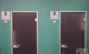 Власти Кемерова потратят почти 21 млн рублей на содержание уличных туалетов