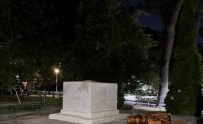 В Саратове деревянная статуя кота насмерть придавила ребёнка