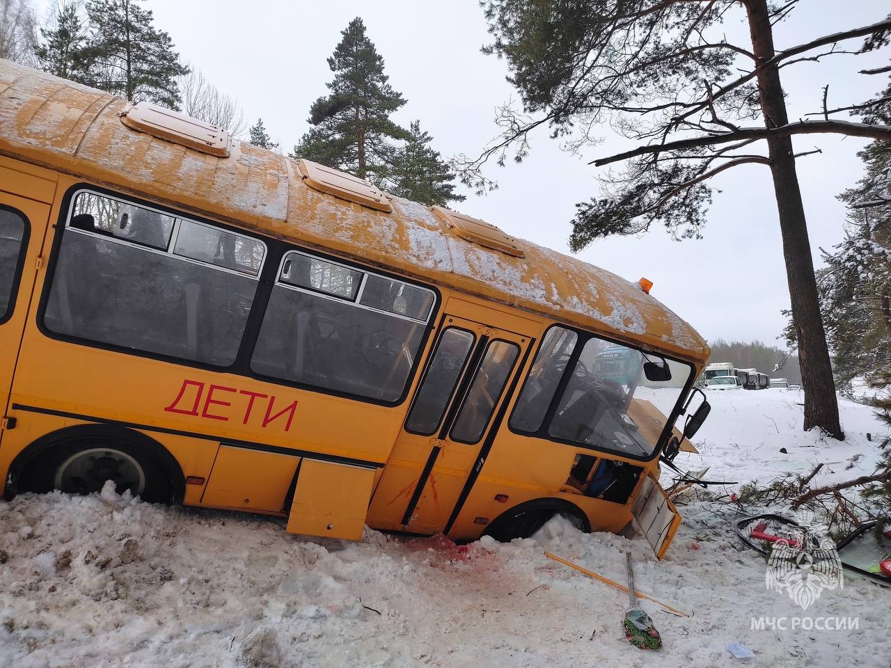 В Псковской области на трассе столкнулись фура и автобус с детьми, пострадали 17 человек