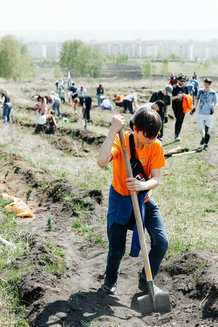 Фото: «Дари добро: посади дерево»: стань частью масштабного экопраздника в Новокузнецке! 2