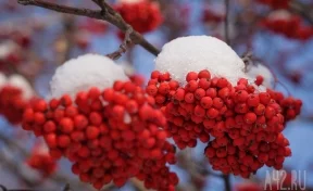 Синоптики рассказали, какой будет зима в Кузбассе