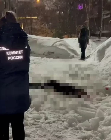 Фото: <a href=https://t.me/sledcom_nn>СУ СКР по Нижегородской области</a>/ Telegram