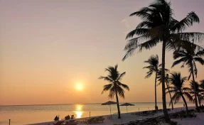 В Индонезии произошло землетрясение магнитудой 6,0