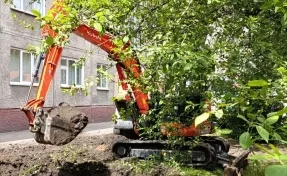 В Кемерове на улице Мичурина теплотрассу раскопали мини-экскаватором, чтобы не повредить яблони