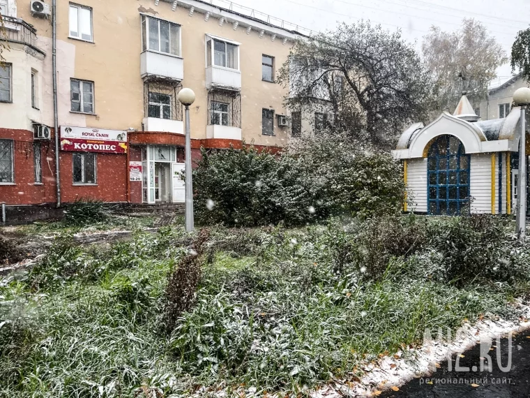 Фото: В Кузбассе прошли первые снегопады: ГАИ предупредила об ухудшении видимости на дорогах 8
