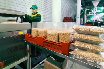 Фото: Как кузбассовец кедровый орех по всему миру стал продавать 8