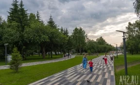 В Кемерове началась обработка общественных мест от клещей