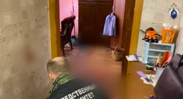 Фото: В Курской области в квартире нашли тела пожилой женщины и её 10-летнего внука 1