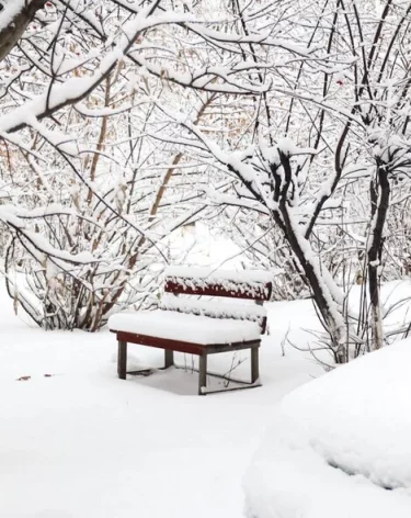 В Кузбассе 6 января днём будет около нуля градусов
