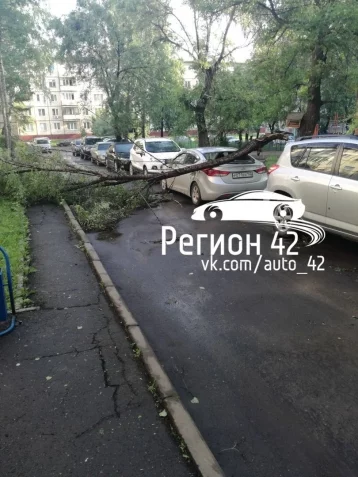 Фото: Кемеровчане делятся в соцсетях снимками последствий ночного урагана 7