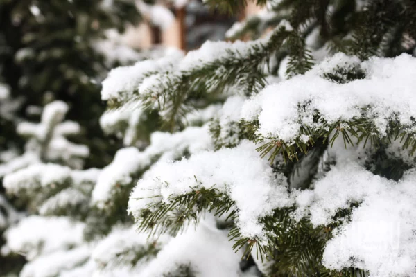 Григорьев день: народные приметы на 7 февраля