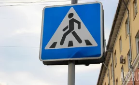 В Нижегородской области обустроили «зебру» для ежей