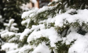 Григорьев день: народные приметы на 7 февраля