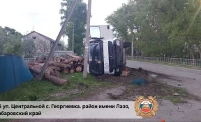 В Хабаровском крае водитель лесовоза сбил 3 детей, 1 ребёнок погиб