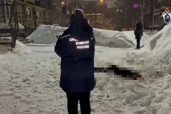 Сосулька убила 19-летнюю девушку в Нижнем Новгороде