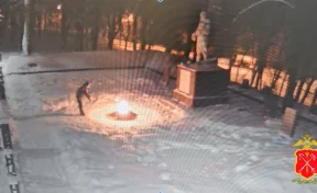 Полиция задержала школьников, забросавших снегом Вечный огонь в Красном селе