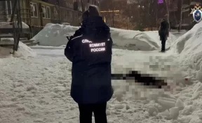 Сосулька убила 19-летнюю девушку в Нижнем Новгороде