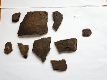 Фото: Старше пирамиды Хеопса: редкие артефакты нашли в окрестностях «Томской писаницы» 4