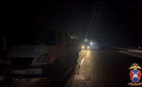 Кузбасские полицейские вызволили водителя из «морозного плена»