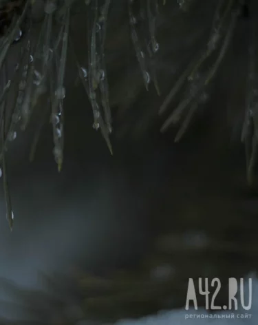 До +15 и дожди: синоптики дали прогноз погоды на неделю в Кузбассе