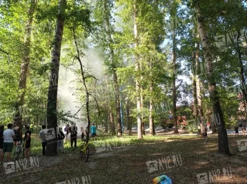Фото: В Кемерове неизвестные подожгли тополиный пух в Комсомольском парке  1