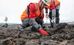 «Кузбассразрезуголь» улучшил позиции в рэнкинге экологической открытости горнодобывающих и металлургических компаний