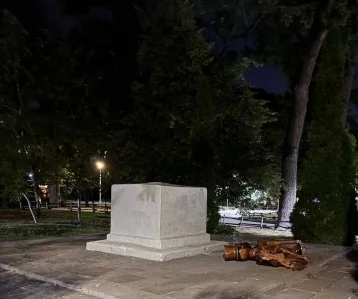 Фото: В Саратове деревянная статуя кота насмерть придавила ребёнка 1