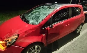 «Животное погибло»: в полиции рассказали детали столкновения автомобиля с лосем на трассе под Кемеровом