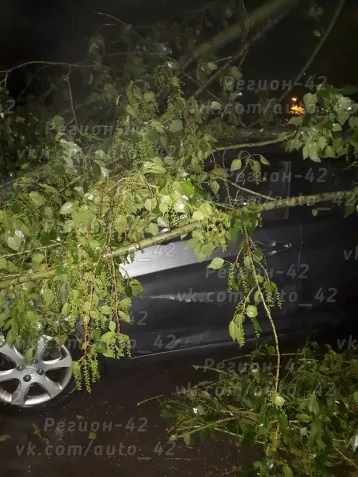 Фото: Кемеровчане делятся в соцсетях снимками последствий ночного урагана 8