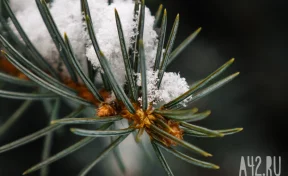 Похолодание и дождь со снегом: синоптики дали прогноз погоды на неделю в Кузбассе