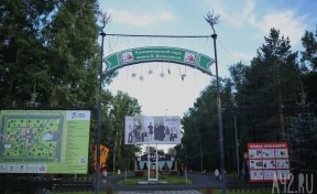 Кемеровчанин пожаловался на отсутствие освещения в Комсомольском парке