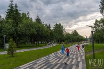 Фото: В Кемерове началась обработка общественных мест от клещей 1