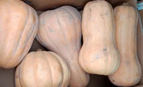 В Кузбасс привезли 111 тонн свежих овощей из Казахстана